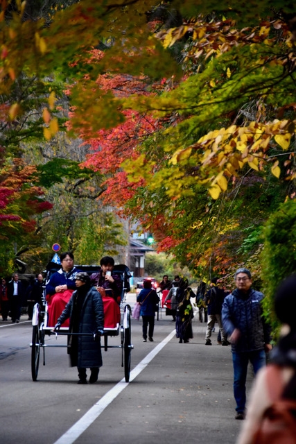 紅葉情報 角館の紅葉が始まっています スタッフブログ リッチモンドホテル 秋田駅前 公式サイト