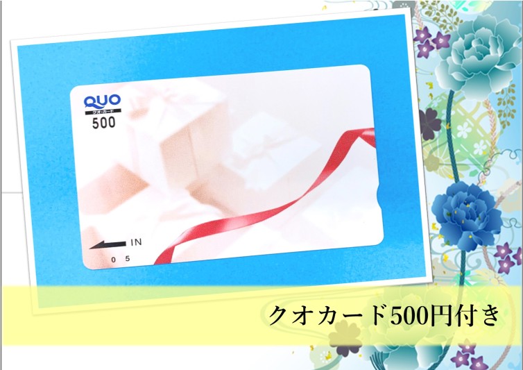 QUOカード500円付きのお得なプラン♪