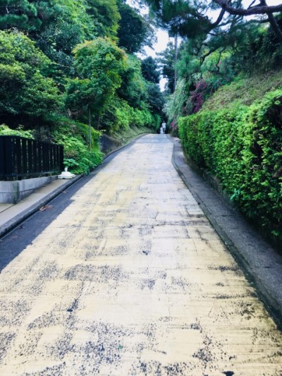 鎌倉散歩