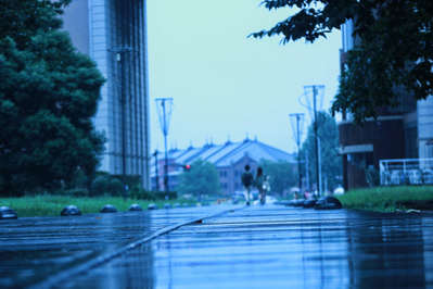 雨の横浜観光