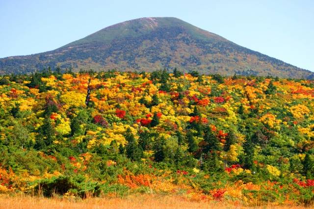 八甲田山の紅葉♪