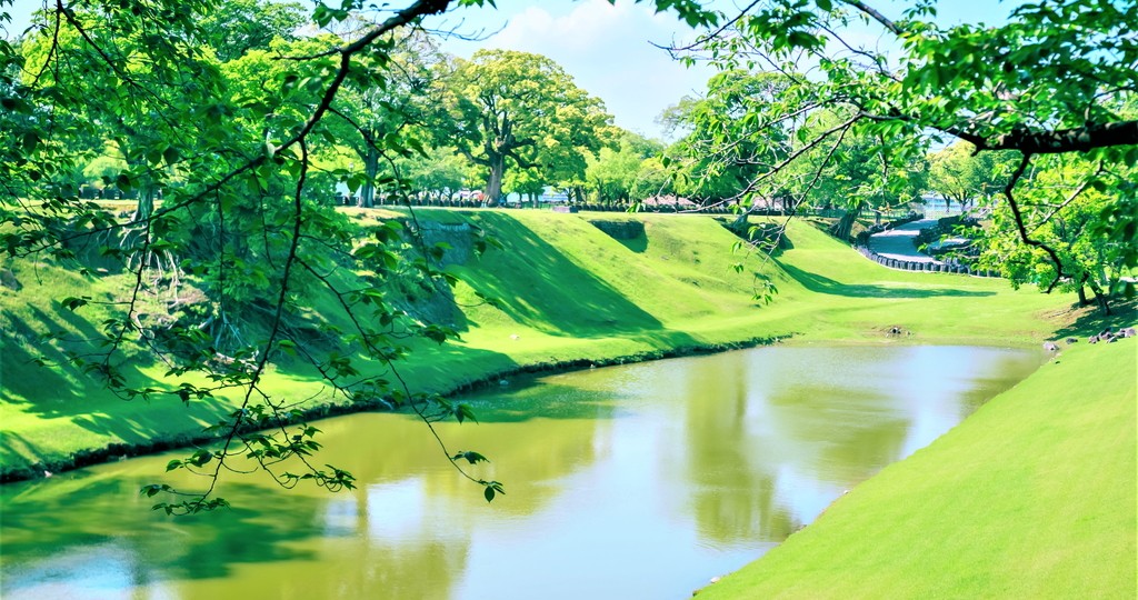 画像：緑豊かな熊本城