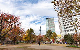 画像：錦糸公園