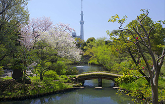 画像：向島百花園