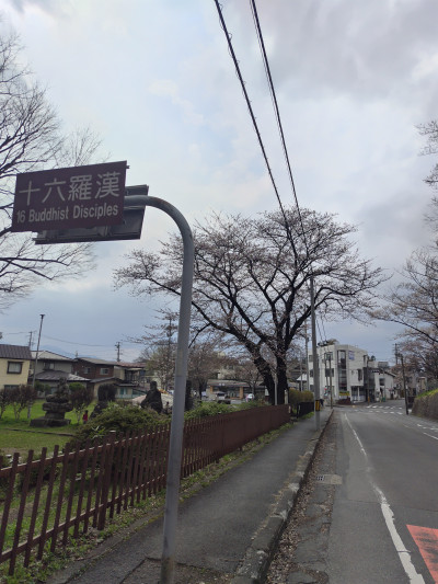 十六羅漢公園の桜