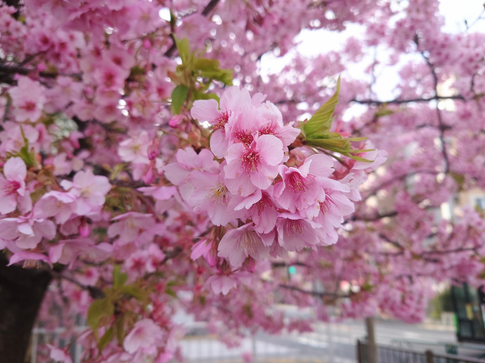 画像：京成リッチモンドホテル 東京門前仲町