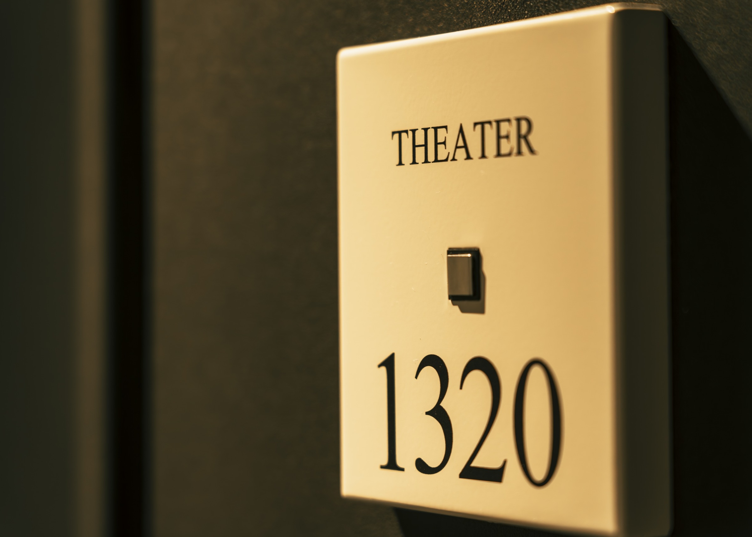 画像:ボックスシアタールーム