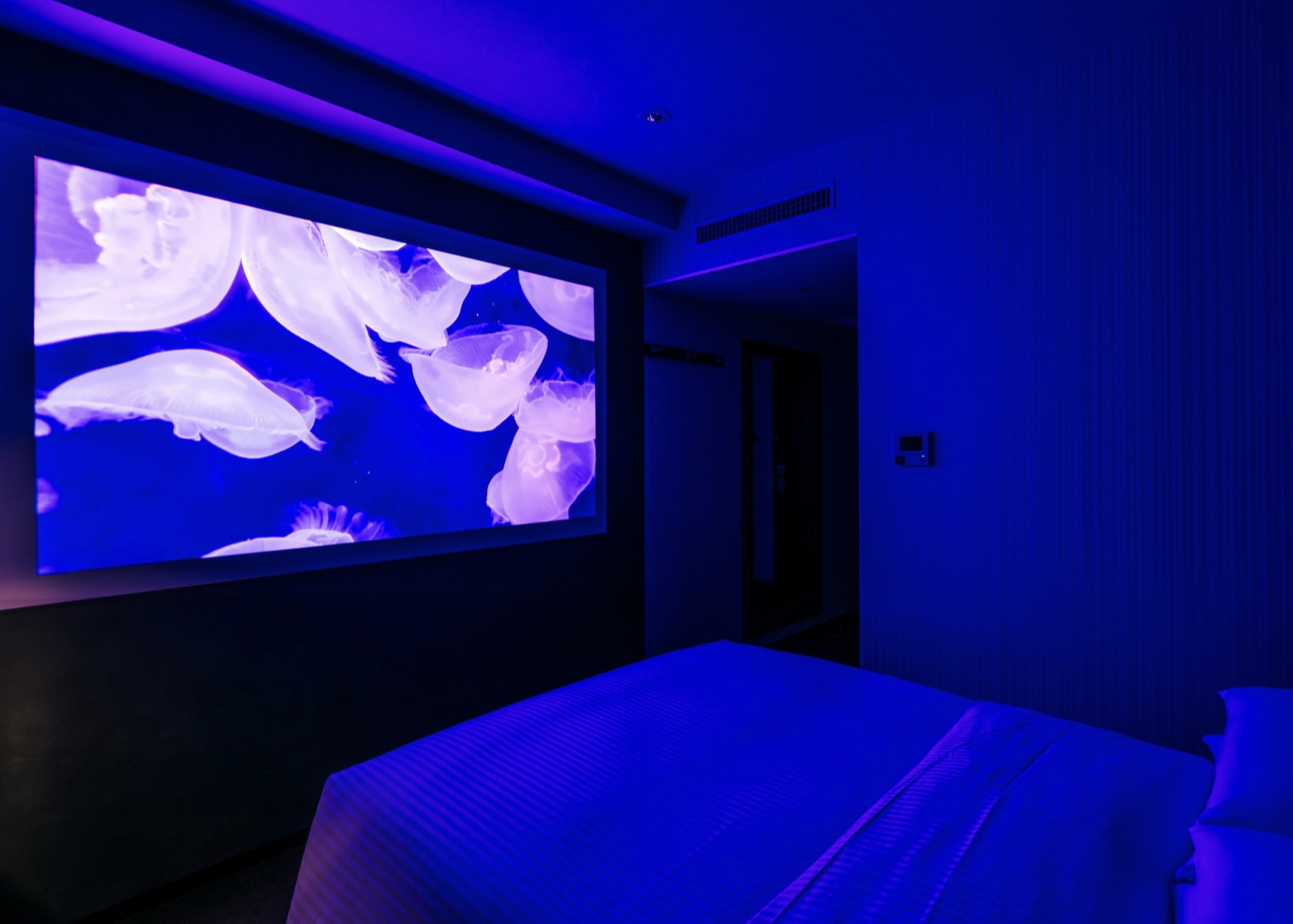 画像:ボックスシアタールーム