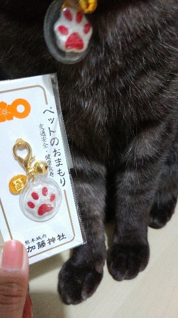 ペットのお守り スタッフブログ リッチモンドホテル熊本新市街 公式サイト