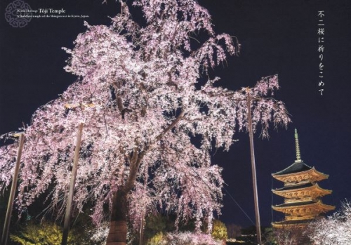 東寺のライトアップについて スタッフブログ リッチモンドホテルプレミア京都駅前 公式サイト