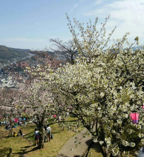 立山公園 スタッフブログ リッチモンドホテル 長崎思案橋 公式サイト