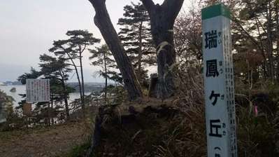 お車で松島観光の前に寄り道はいかがですか スタッフブログ リッチモンドホテル プレミア仙台駅前 公式サイト