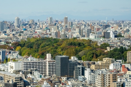 周辺観光 小石川植物園のご案内 スタッフブログ 後楽園 東京ドームに好アクセス リッチモンドホテル 東京水道橋 公式