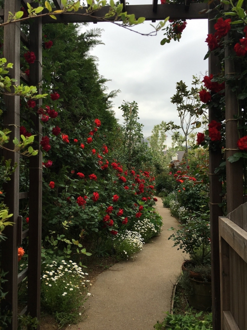横浜イングリッシュガーデン行ってきました スタッフブログ 横浜 みなとみらいに好アクセス リッチモンドホテル横浜馬車道 公式