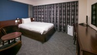 Wheelchair Accessible Double Room