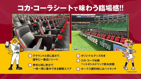 特別プラン