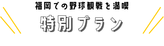 福岡での野球観戦を満喫 特別プラン